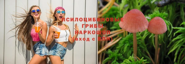 кокс Алзамай