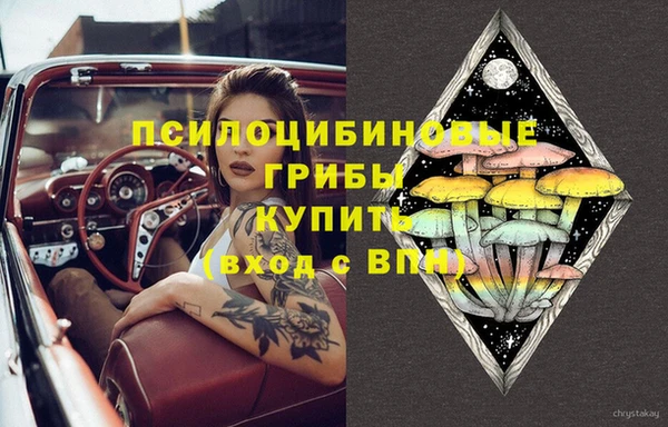 кокс Алзамай