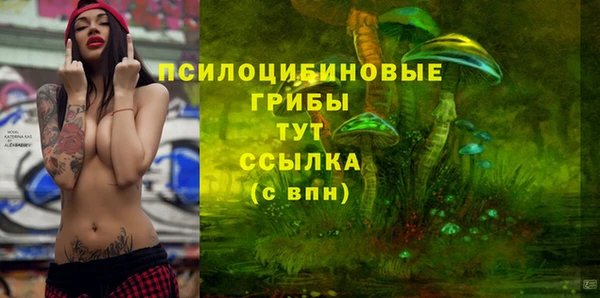 молекула духа Алексеевка