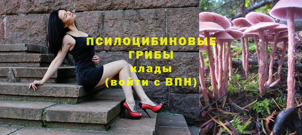 кокс Алзамай