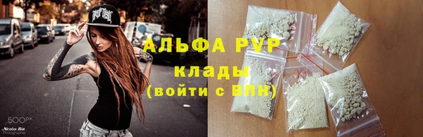 стаф Алексин