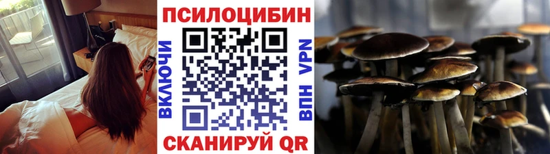 МЕГА ONION  Раменское  Галлюциногенные грибы Psilocybine cubensis  цены  