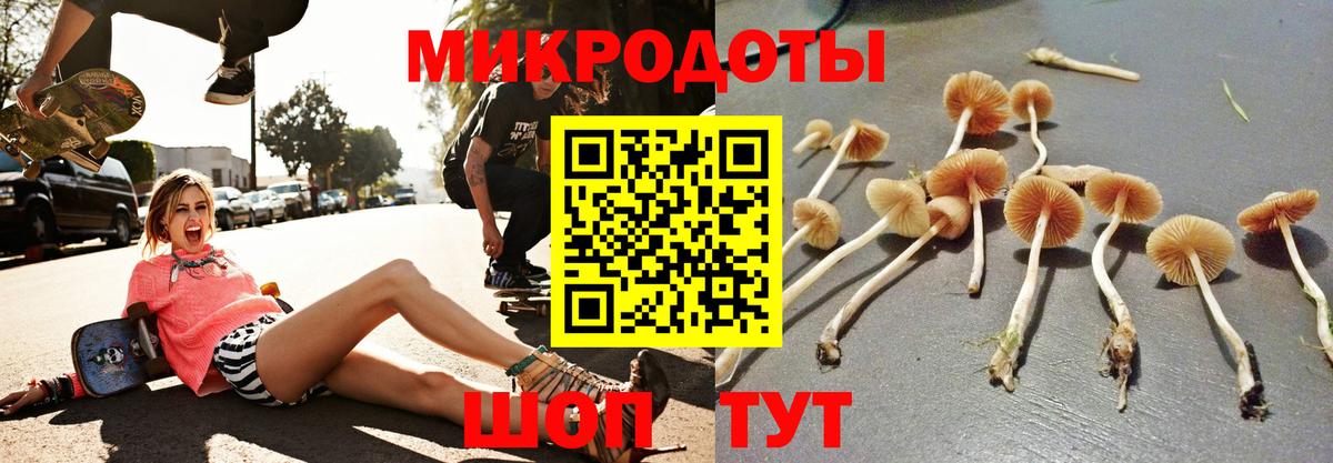 Раменское  Галлюциногенные грибы ЛСД  Галлюциногенные грибы ЛСД  купить наркотик  Вход с VPN 